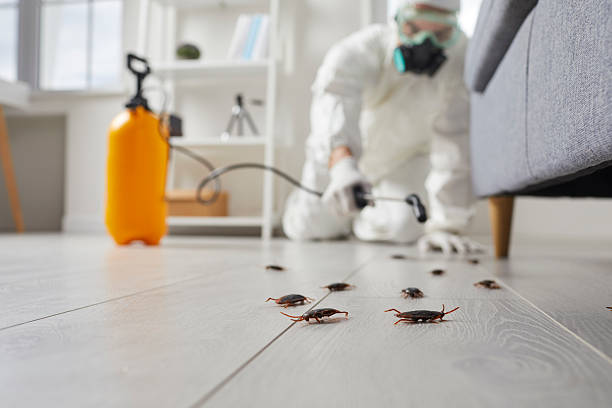 Trusted Fumigation Services service in Belmont, VA - Nex Pest Control