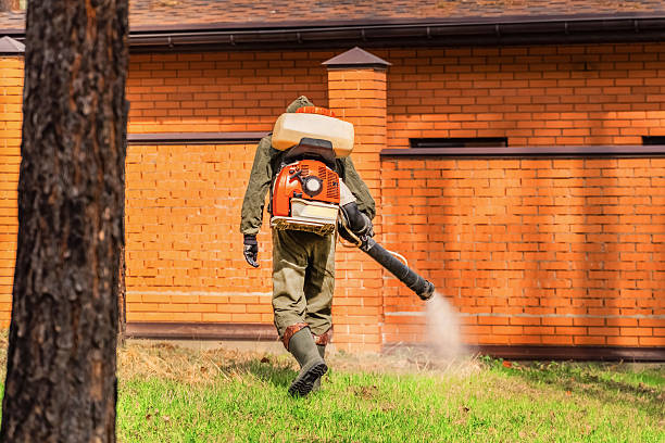 Trusted Bed Bug Control service in Belmont, VA - Nex Pest Control
